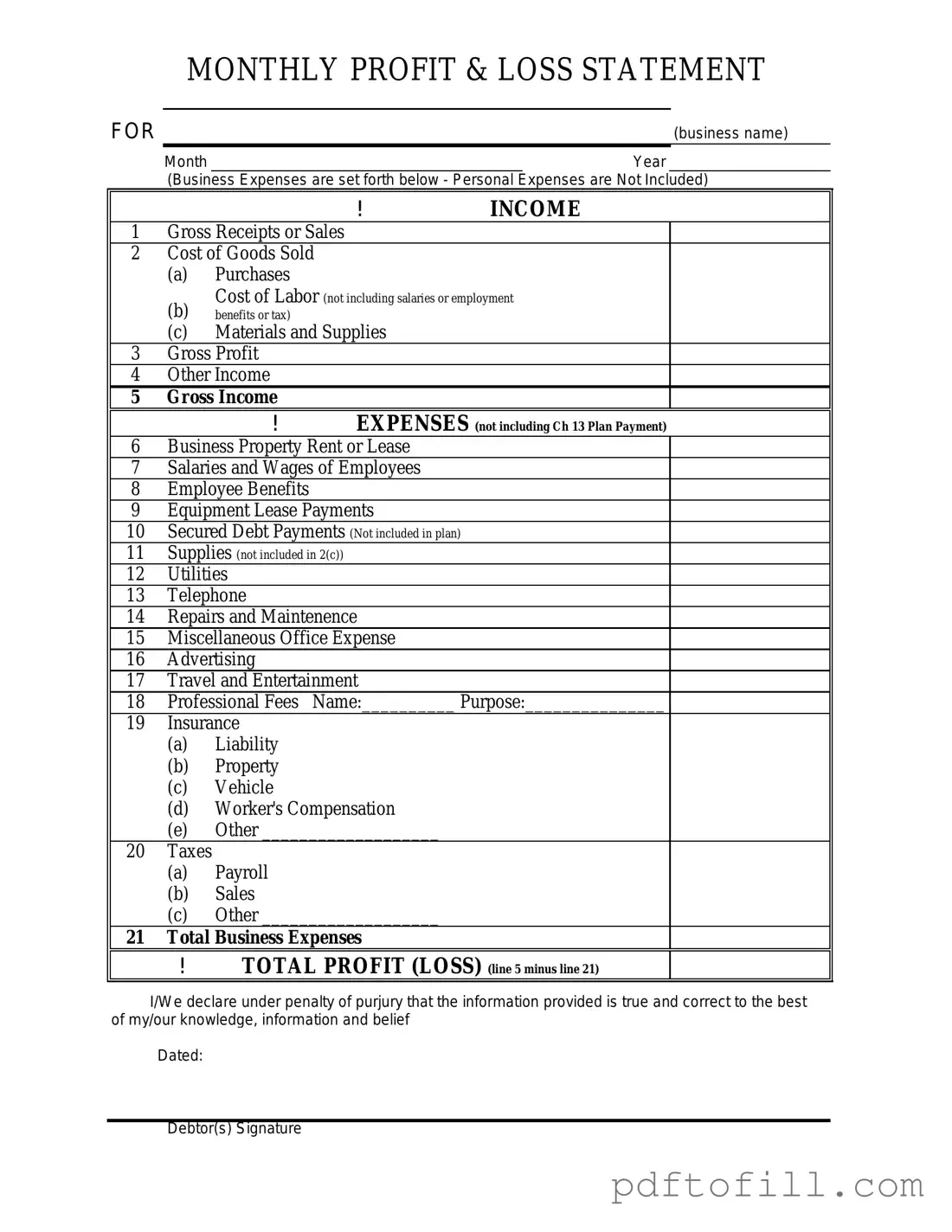 Free Profit And Loss PDF Form