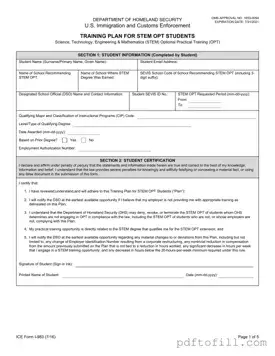Free ICE I-983 PDF Form