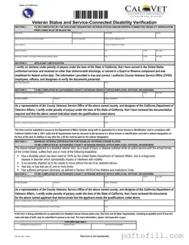 Free Vsd 001 PDF Form